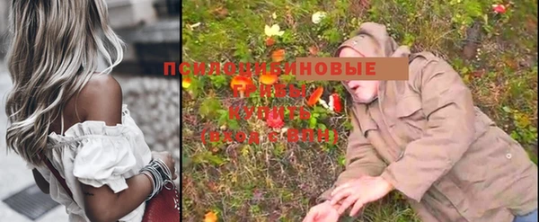 шишки Алзамай