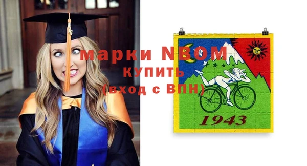 шишки Алзамай