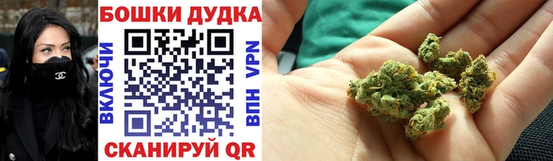 МЕГА зеркало Новомичуринск Каннабис ГИДРОПОН